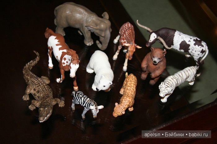 В мире животных.. продолжение