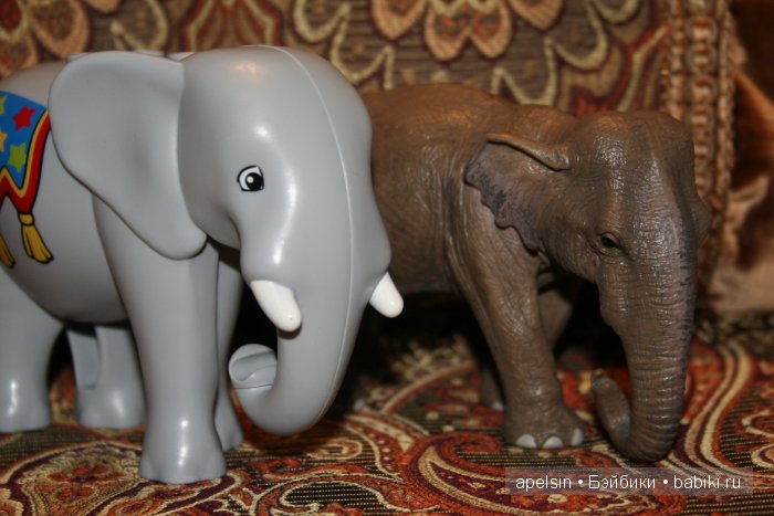 В мире животных.. продолжение