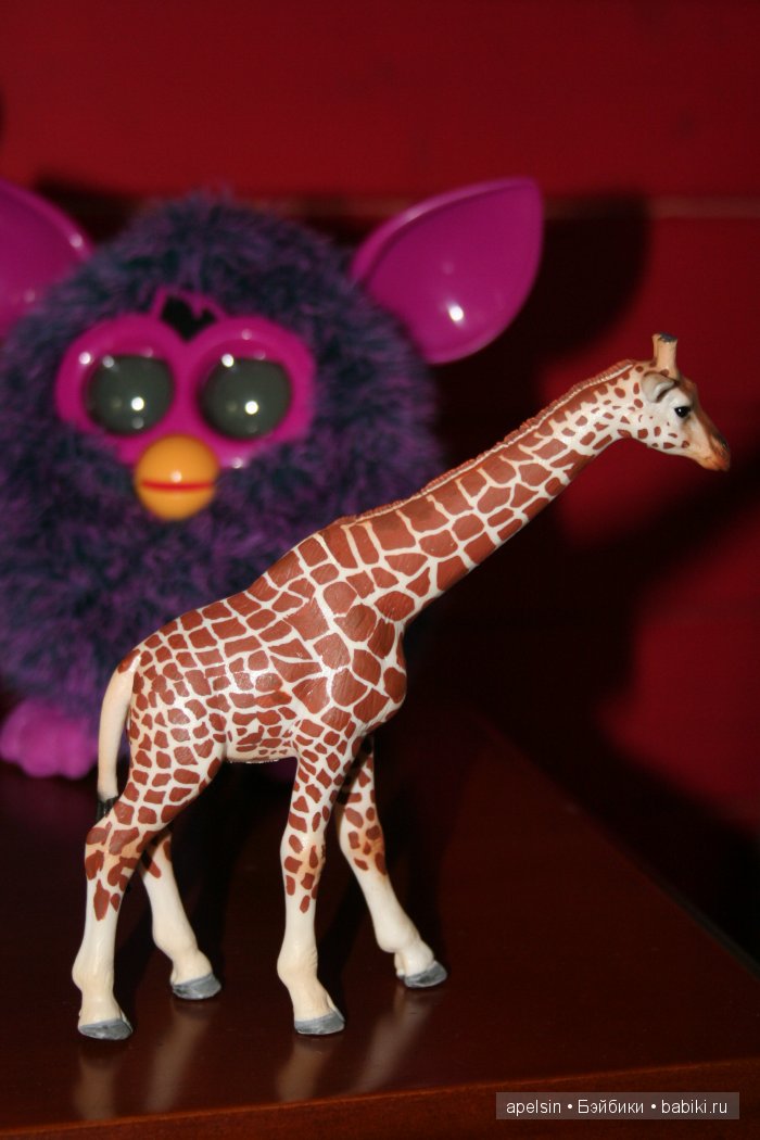 В мире животных.. продолжение