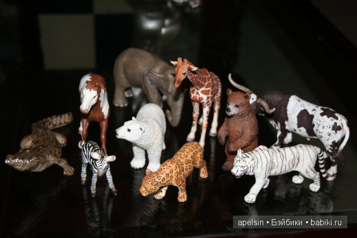 В мире животных.. продолжение