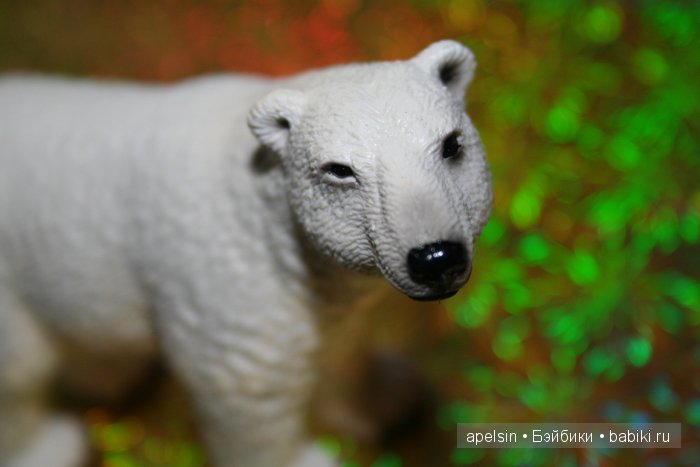 В мире животных.. продолжение