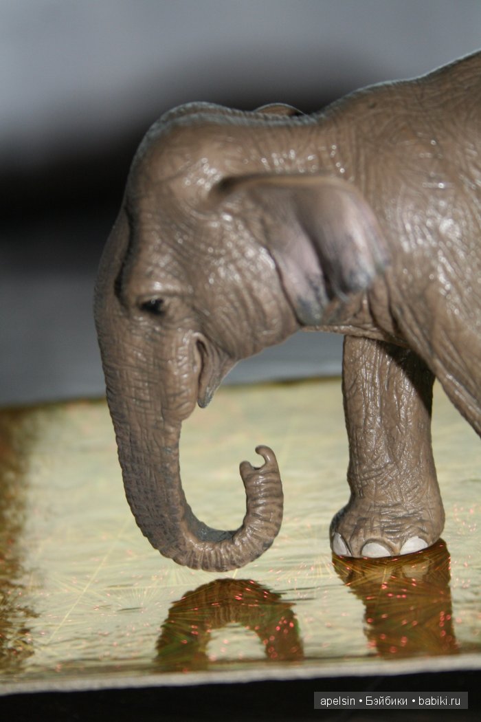 В мире животных.. продолжение (фото 4)