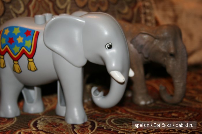 В мире животных.. продолжение