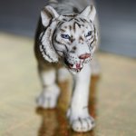 В мире животных.. продолжение