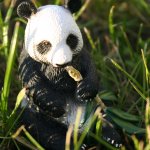 В мире животных..часть 3.