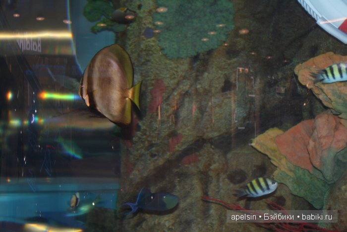 Экскурсия в Авиапарк — Туризм и путешествия: фотоотчеты из поездок