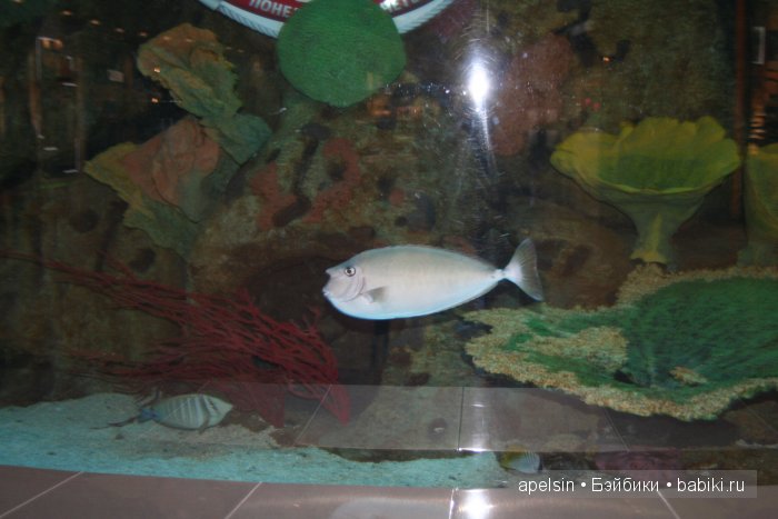 Экскурсия в Авиапарк — Туризм и путешествия: фотоотчеты из поездок (фото 5)