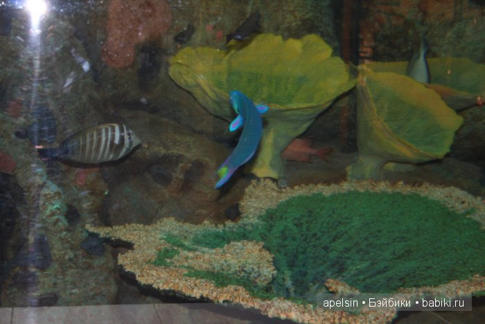 Экскурсия в Авиапарк — Туризм и путешествия: фотоотчеты из поездок (фото 9)