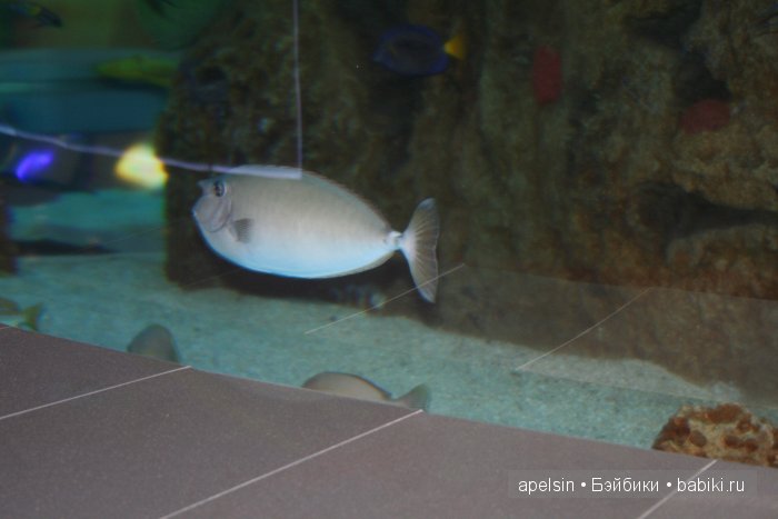 Экскурсия в Авиапарк — Туризм и путешествия: фотоотчеты из поездок