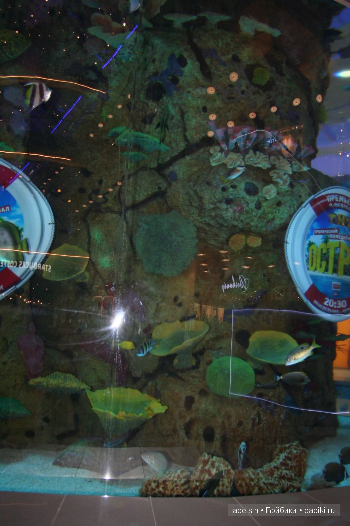 Экскурсия в Авиапарк — Туризм и путешествия: фотоотчеты из поездок