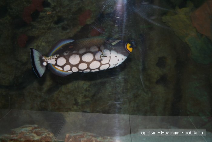 Экскурсия в Авиапарк — Туризм и путешествия: фотоотчеты из поездок