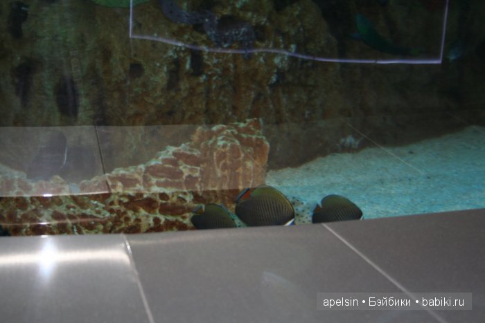 Экскурсия в Авиапарк — Туризм и путешествия: фотоотчеты из поездок