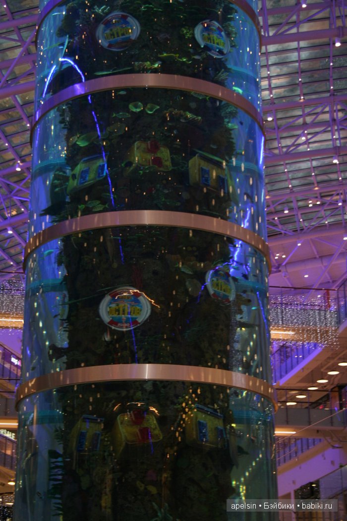 Экскурсия в Авиапарк — Туризм и путешествия: фотоотчеты из поездок (фото 4)