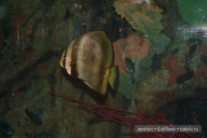 Экскурсия в Авиапарк — Туризм и путешествия: фотоотчеты из поездок