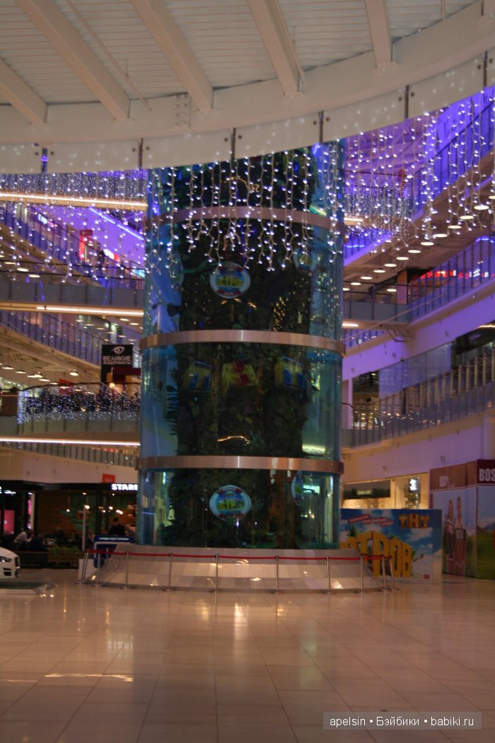 Экскурсия в Авиапарк — Туризм и путешествия: фотоотчеты из поездок