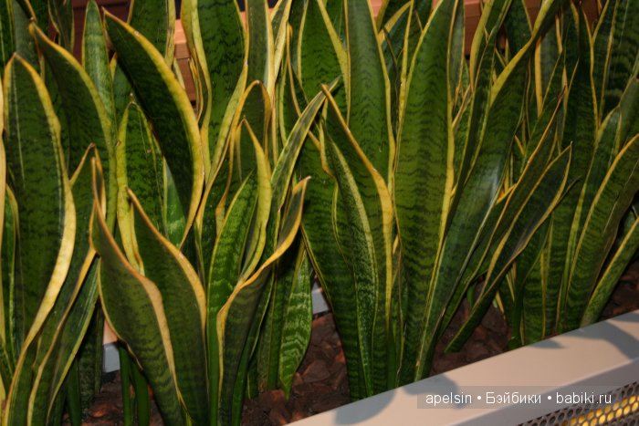 Экскурсия в Авиапарк — Туризм и путешествия: фотоотчеты из поездок