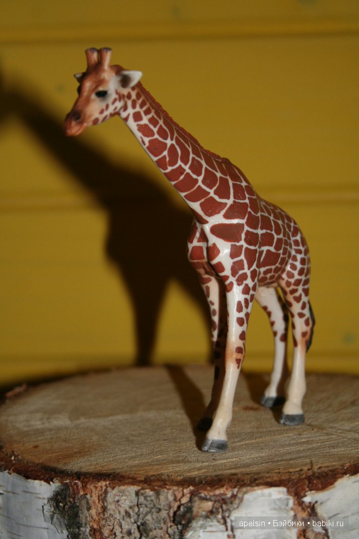 В мире животных.. часть 4)