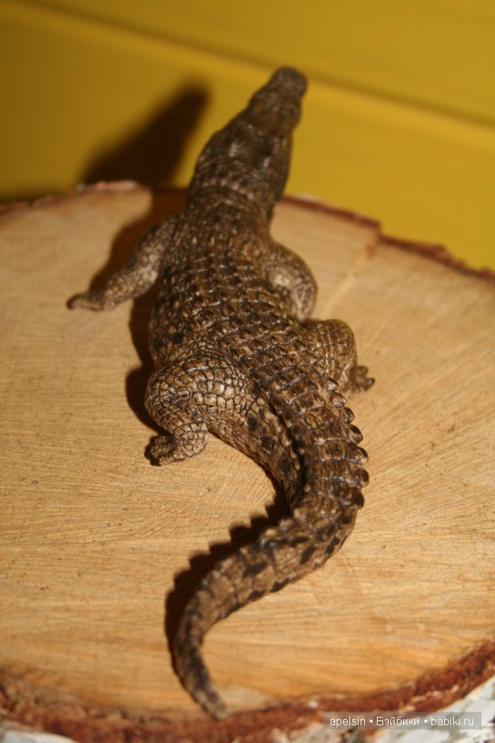 В мире животных.. часть 4)