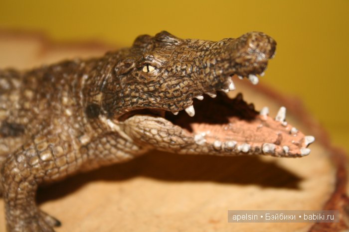 В мире животных.. часть 4)