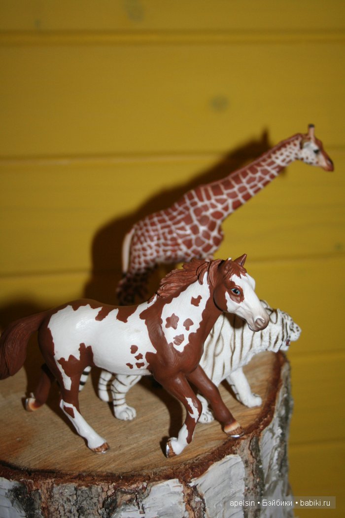 В мире животных.. часть 4)