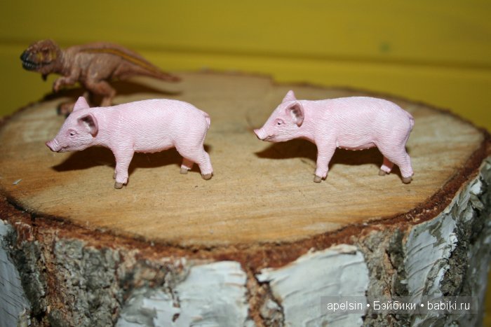 В мире животных.. часть 4)