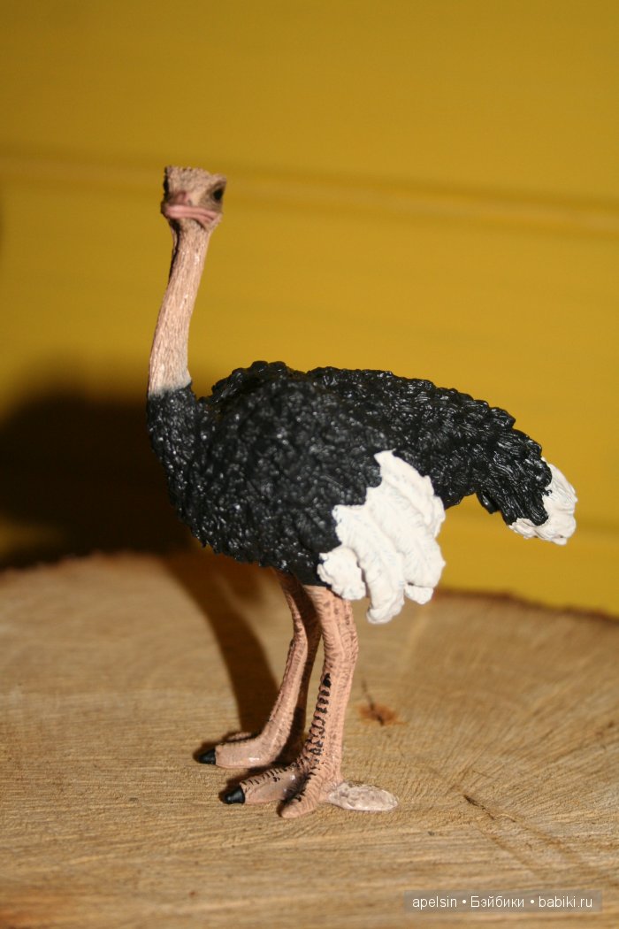 В мире животных.. часть 4)