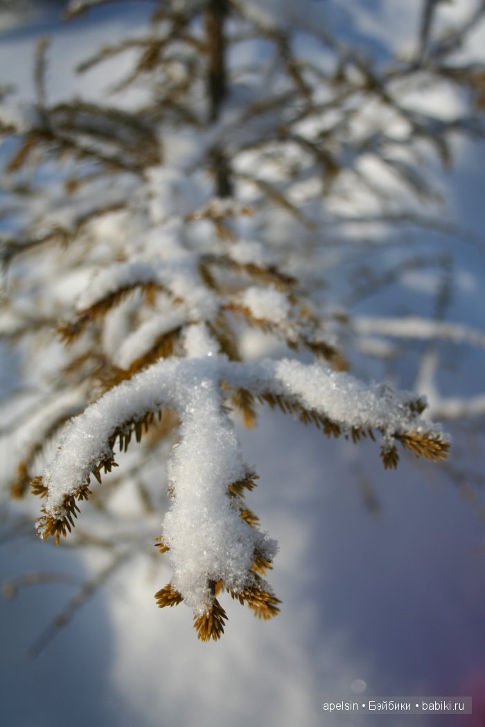 Noodle Charlie bears — Домашние фото авторских игрушек: Тедди