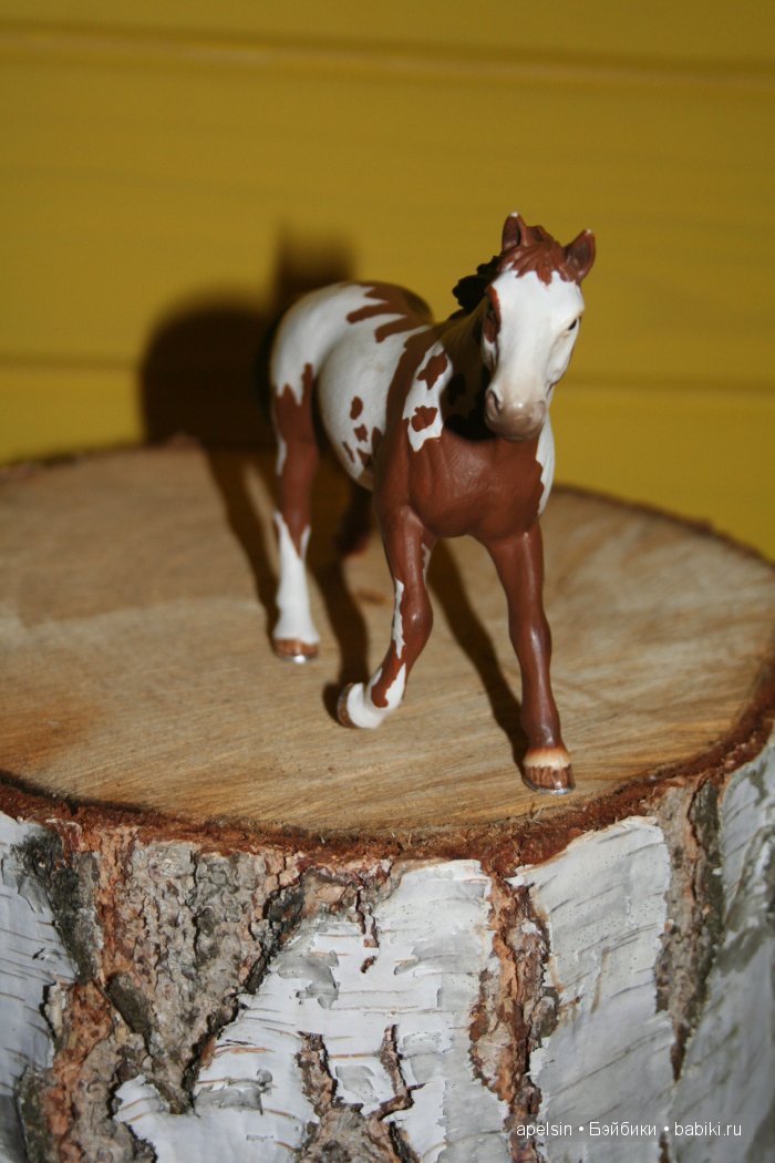 В мире животных.. часть 4)