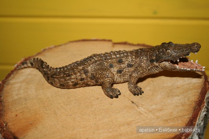 В мире животных.. часть 4)