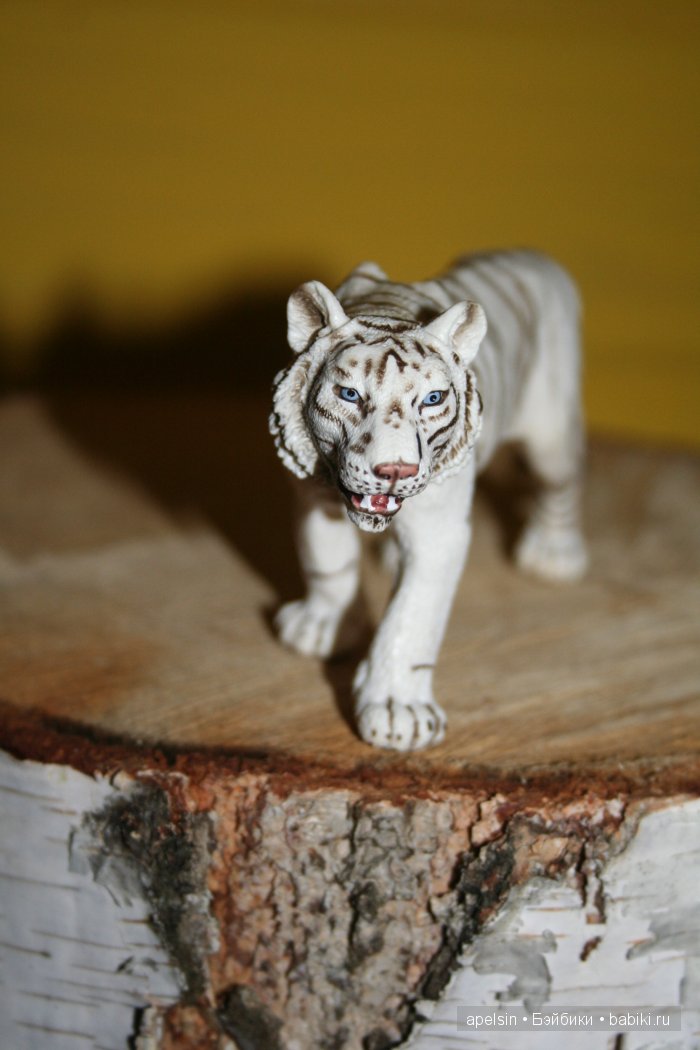 В мире животных.. часть 4) (фото 7)