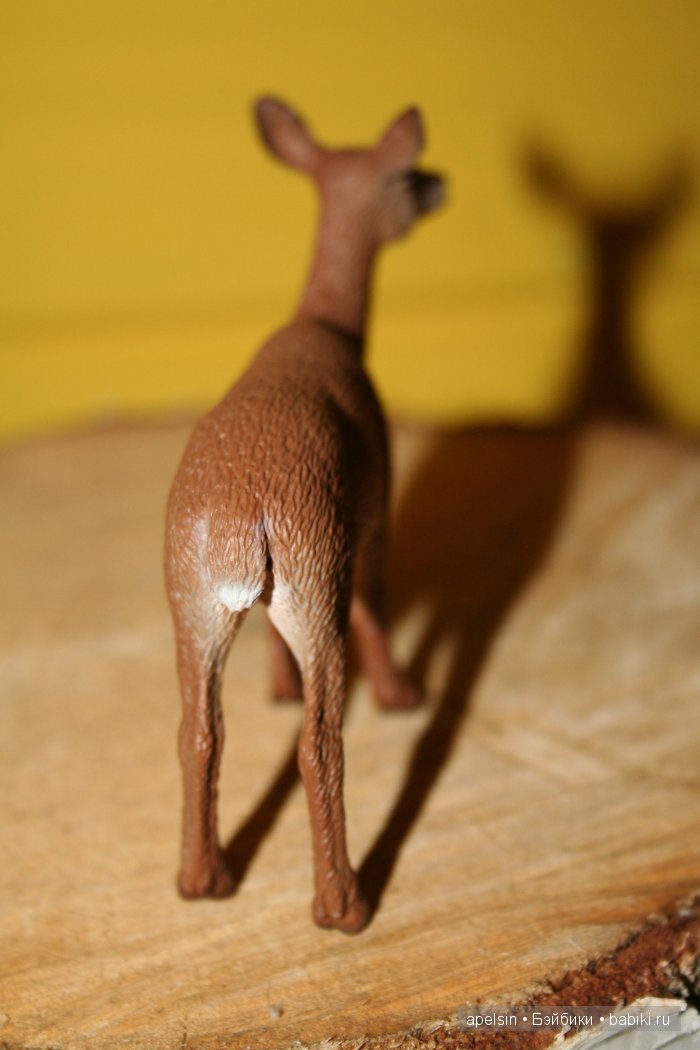 В мире животных.. часть 4)