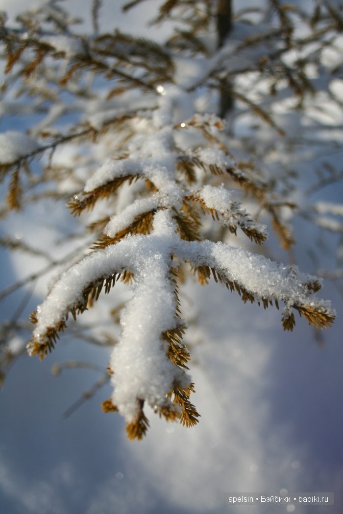 Noodle Charlie bears — Домашние фото авторских игрушек: Тедди