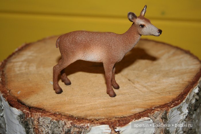 В мире животных.. часть 4)