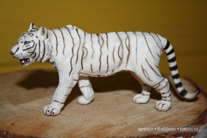 В мире животных.. часть 4) (фото 8)