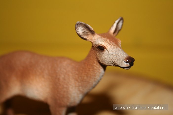 В мире животных.. часть 4)