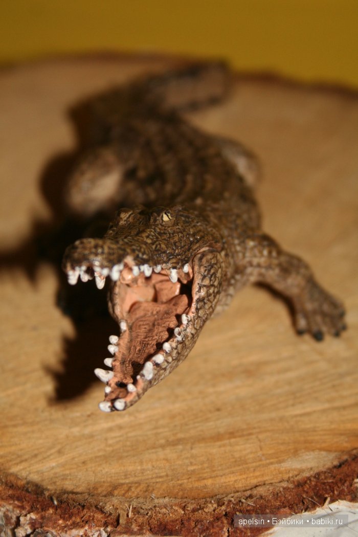 В мире животных.. часть 4)