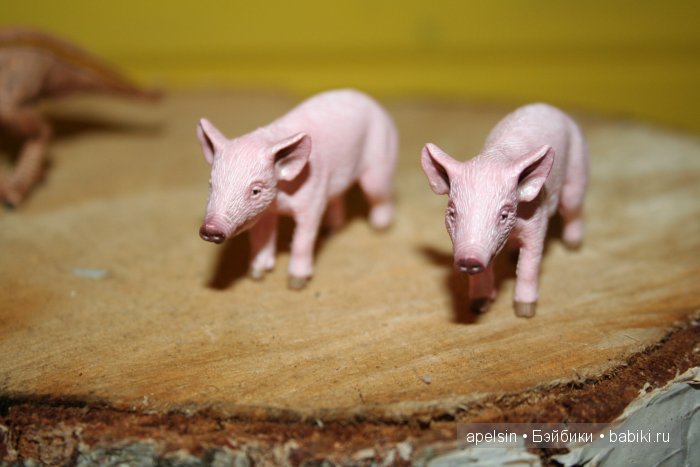 В мире животных.. часть 4)