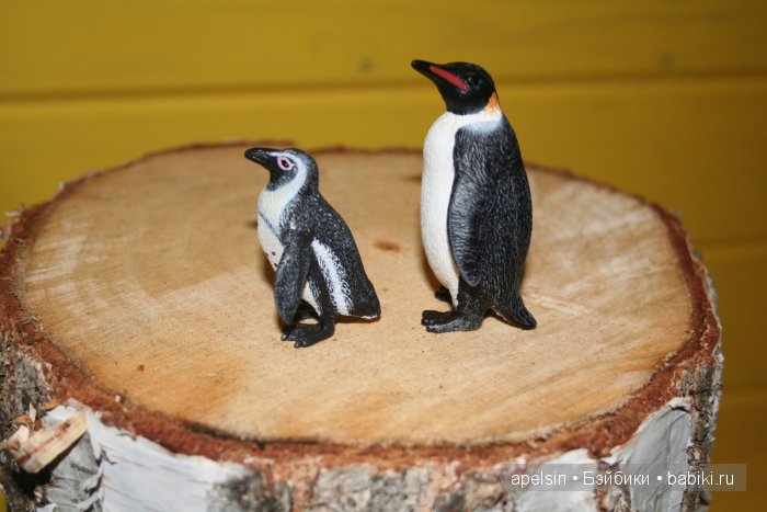 В мире животных.. часть 4)