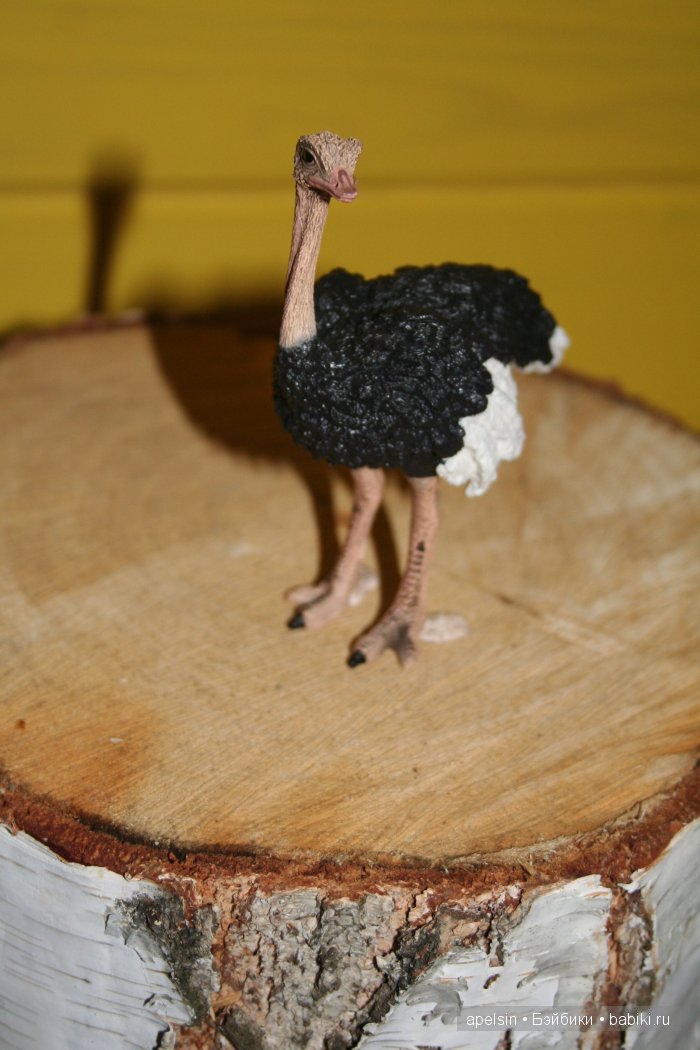 В мире животных.. часть 4)