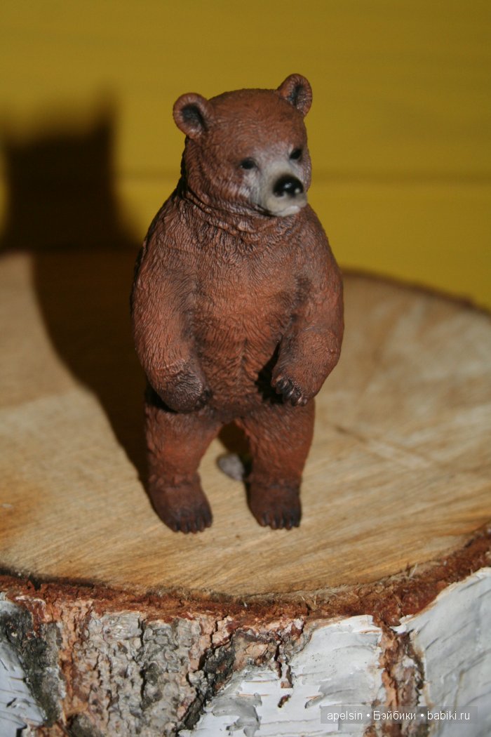 В мире животных.. часть 4) (фото 10)