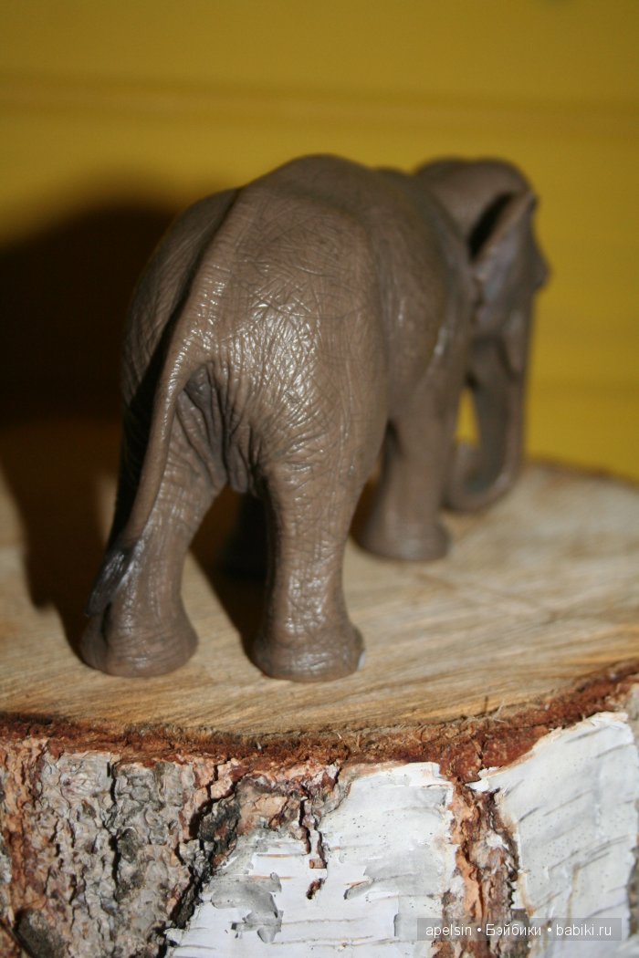 В мире животных.. часть 4) (фото 3)