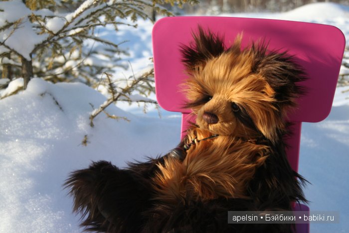 Noodle Charlie bears — Домашние фото авторских игрушек: Тедди