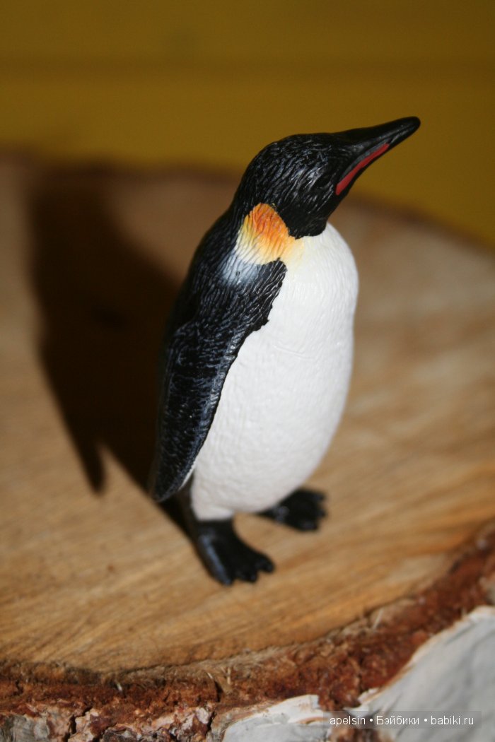 В мире животных.. часть 4)