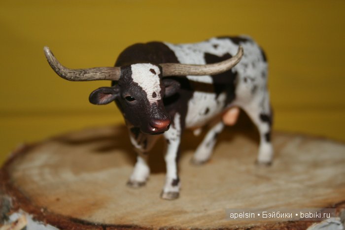 В мире животных.. часть 4) (фото 5)