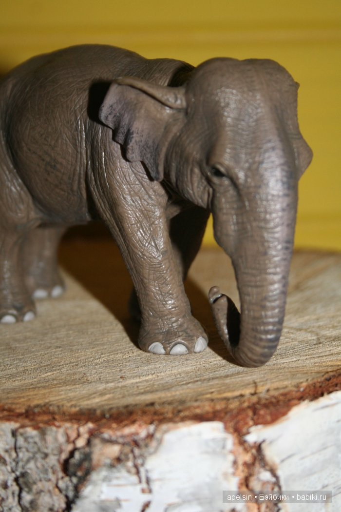 В мире животных.. часть 4) (фото 4)