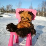 Noodle Charlie bears