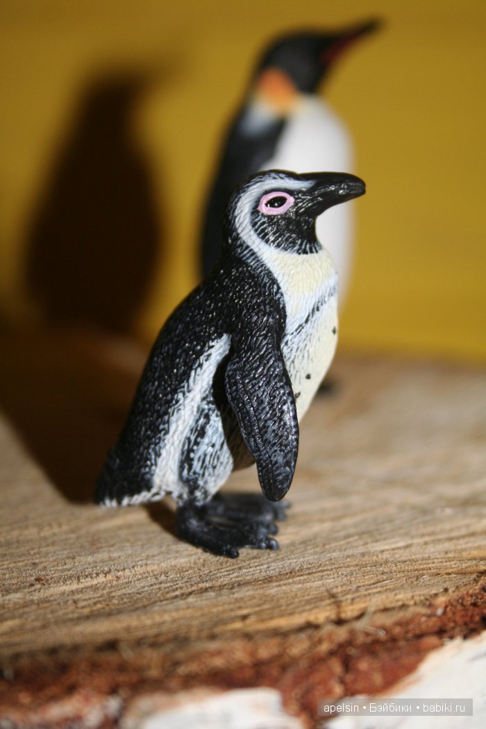 В мире животных.. часть 4)