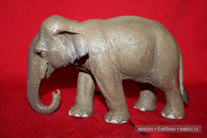 Реалистичные фигурки животных. Моя коллекция в лицах. Плюс фото кукол с фигурками. Много фото. Часть 2