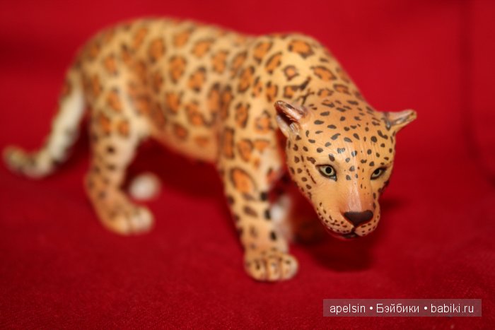 Реалистичные фигурки животных. Моя коллекция в лицах. Плюс фото кукол с фигурками. Много фото. Часть 2