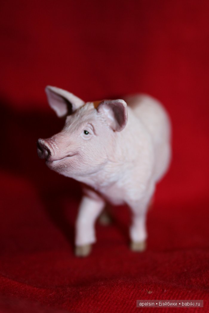 Реалистичные фигурки животных. Моя коллекция в лицах. Плюс фото кукол с фигурками. Много фото. Часть 3